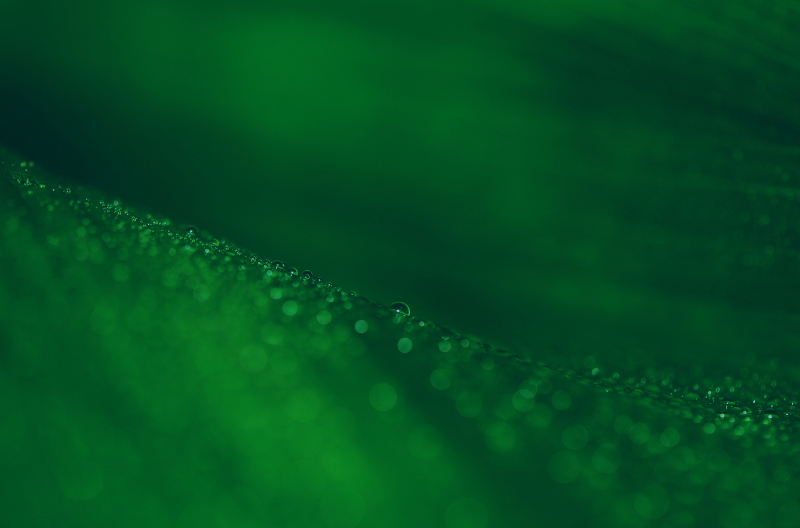 Green Chemistry: The Hidden Profit Center in Modern Manufacturing